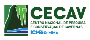Logos parceiros: Vale